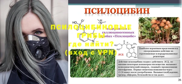 мдпв Касимов